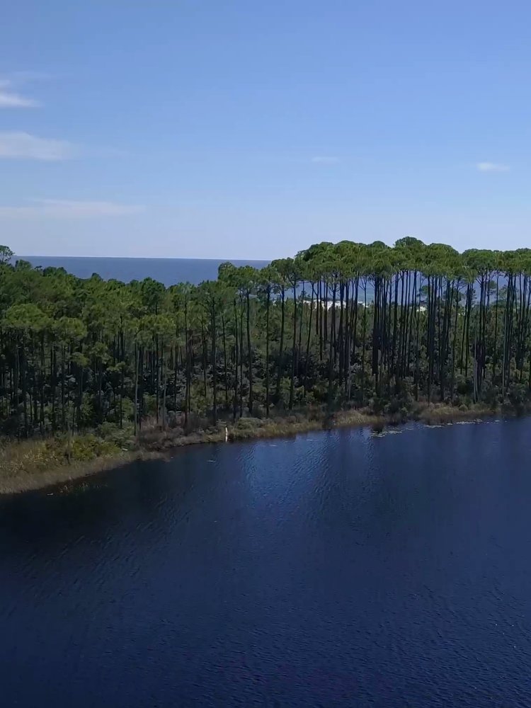 Coastal pine trees and lake along Florida's Emerald Coast