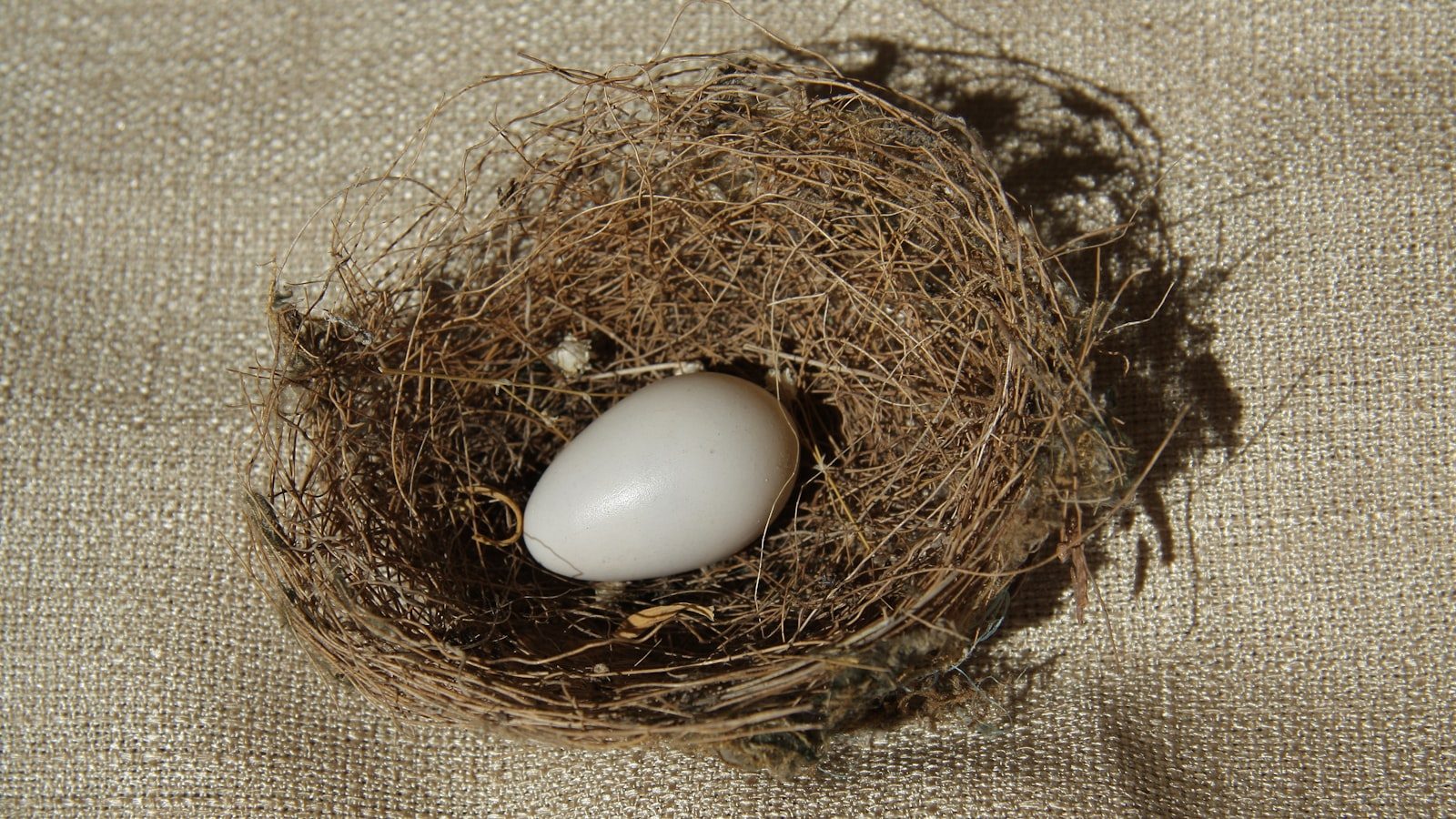 How to Protect Your Nest Egg from Inflation