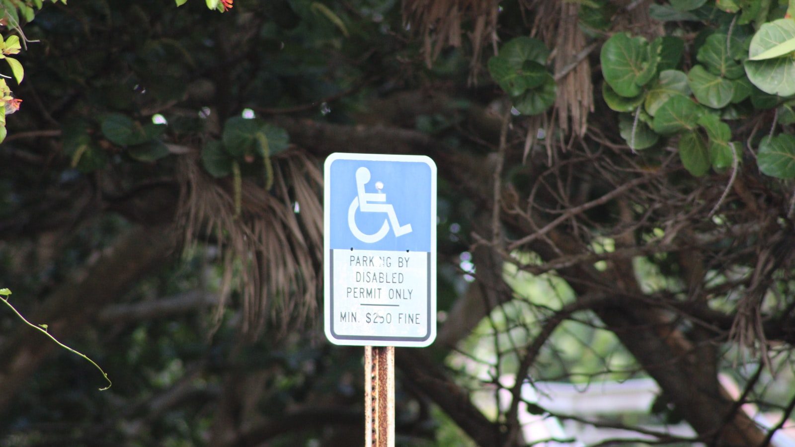 Medicaid, DD Waivers, and the Waitlist: What Florida Families Need to Know