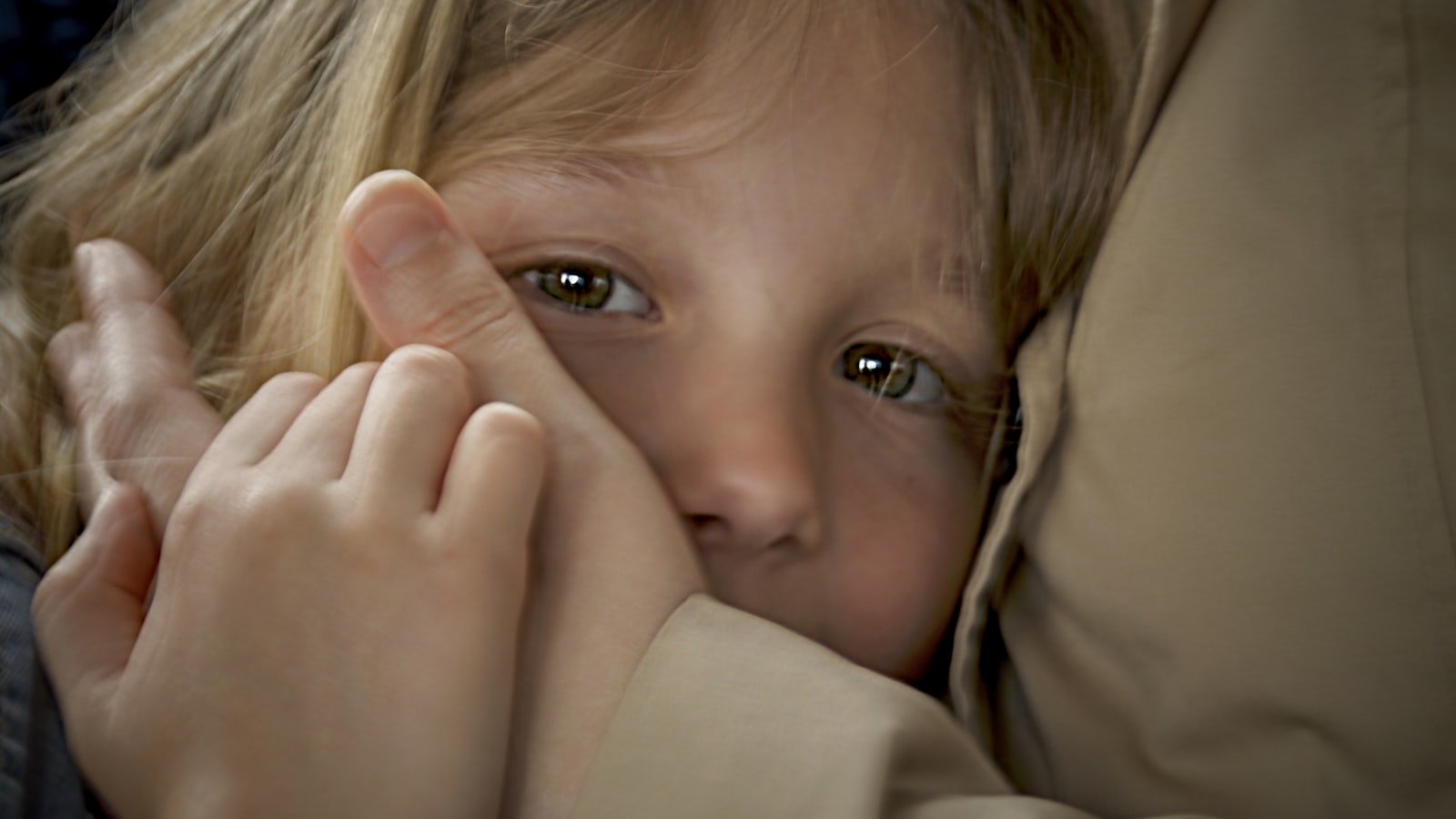 Risk Management for Affluent Families: Insurance, Liability, and Asset Protection